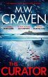 The Curator (eBook, ePUB) - Bild 1