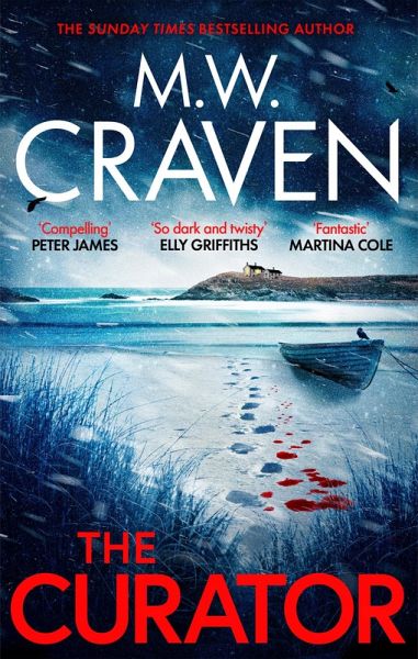 The Curator (eBook, ePUB)