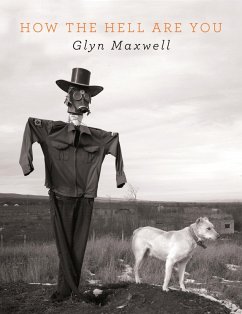 How The Hell Are You (eBook, ePUB) - Maxwell, Glyn