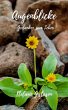 Augenblicke (eBook, ePUB) - Bild 1