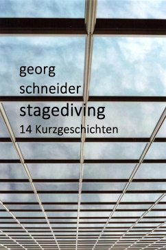 Stagediving (eBook, ePUB) - Schneider, Georg