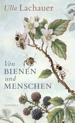 Von Bienen und Menschen  - Lachauer, Ulla
