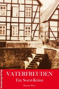 Vaterfreuden (eBook, ePUB) - Meier, Martina