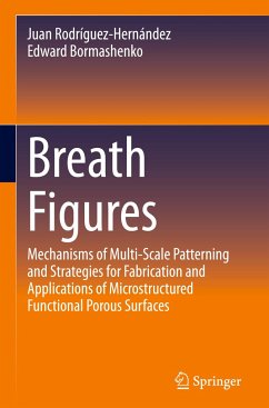 Breath Figures - Rodríguez-Hernández, Juan;Bormashenko, Edward