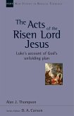 The Acts of the Risen Lord Jesus (eBook, ePUB)