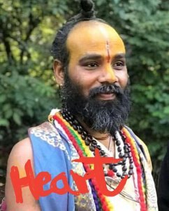 Cover Heart (eBook, ePUB)