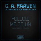 Follow me down (MP3-Download)