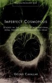 Imperfect Cosmopolis (eBook, ePUB)