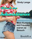 Urlaub am Schwielowsee (eBook, ePUB)