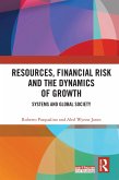 Resources, Financial Risk and the Dynamics of Growth (eBook, PDF)