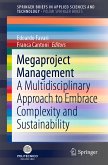 Megaproject Management (eBook, PDF)