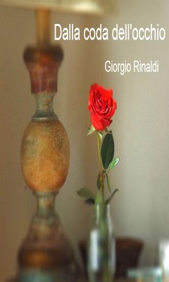 Dalla coda dell'occhio (eBook, ePUB) - Rinaldi, Giorgio