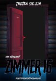 Zimmer 16 (eBook, ePUB)