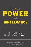 Between Power and Irrelevance (eBook, PDF)