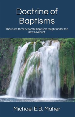 Doctrine of Baptisms (Foundation doctrines of Christ, #3) (eBook, ePUB) - Maher, Michael E. B.