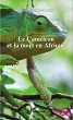 Le Caméléon et la mort en Afrique - Bild 1