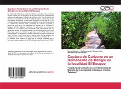 Captura de Carbono en un Remanente de Mangle en la localidad El Bosque