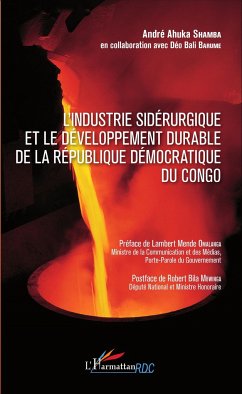 Industrie sidérurgique et le développement durable de la République démocratique du Congo - Shamba, André Ahuka