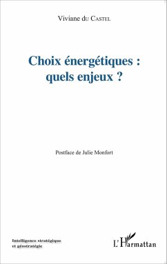 Choix énergétiques : quels enjeux? - Du Castel, Viviane