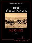 Primul Razboi Mondial - 07 - Messina 1917 (eBook, ePUB)