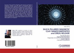 SILICA PILLARED MAGNETIC CLAY NANOCOMPOSITES and DRUG RELEASE - Çiftçi, Hakan