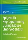 Epigenetic Reprogramming During Mouse Embryogenesis