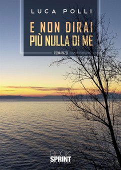 E non dirai più nulla di me (eBook, ePUB) - Polli, Luca
