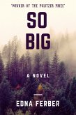 So Big (A Novel) (eBook, ePUB)