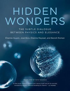 Hidden Wonders (eBook, ePUB) - Guyon, Etienne; Bico, Jose; Reyssat, Etienne; Roman, Benoit
