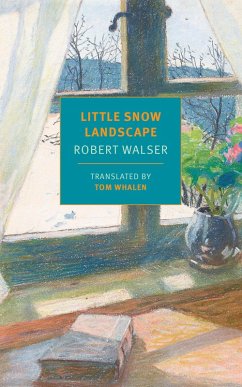 Little Snow Landscape (eBook, ePUB) - Walser, Robert