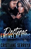 Destinos Entrelaçados (eBook, ePUB)