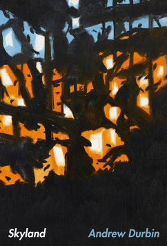 Cover Skyland (eBook, ePUB)