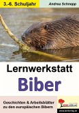 Lernwerkstatt Biber (eBook, PDF)