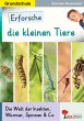 Erforsche die kleinen Tiere (eBook, PDF) - Bild 1