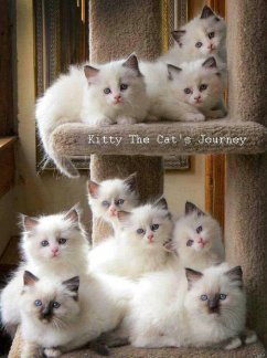 Kitty The Cat's Journey (eBook, ePUB) Cover Kitty The Cat's Journey (eBook, ePUB)