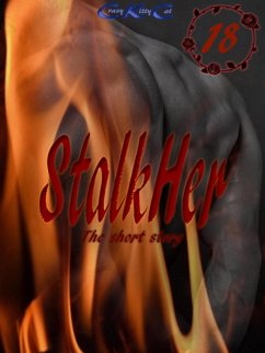 StalkHer (eBook, ePUB) - Cat, Crazy Kitty
