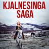 Kjalnesinga saga (MP3-Download) - Bild 1