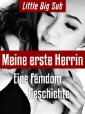 Meine erste Herrin (eBook, ePUB)