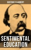 Sentimental Education (eBook, ePUB)