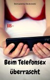 Beim Telefonsex überrascht (eBook, ePUB) Beim Telefonsex überrascht (eBook, ePUB)