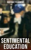 Sentimental Education (eBook, ePUB)