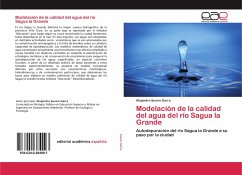 Modelación de la calidad del agua del río Sagua la Grande - Sueiro Garra, Alejandro