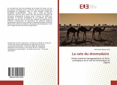 La rate du dromadaire - Fares, Mohamed Amine