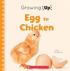 Egg to Chicken (Growing Up) - Shepherd, Jodie