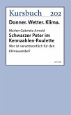 Schwarzer Peter im Kennzahlen-Roulette (eBook, ePUB)
