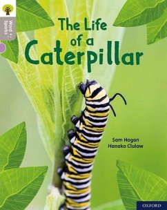 Oxford Reading Tree Word Sparks: Level 1: The Life of a Caterpillar - Hogan, Sam
