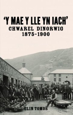 'Y Mae y Lle yn Iach' - Chwarel Dinorwig 1875-1900 - Tomos, Elin