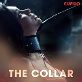 The Collar (MP3-Download)