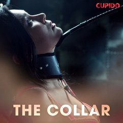 The Collar (MP3-Download) - Cupido