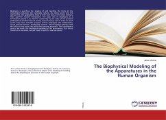 The Biophysical Modeling of the Apparatuses in the Human Organism
